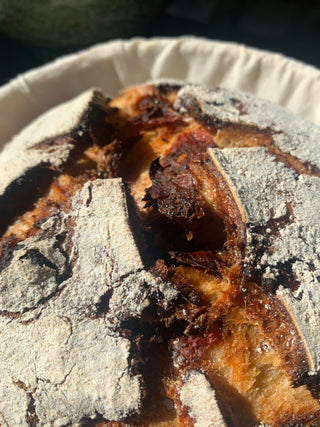 SUNDRIED TOMATO